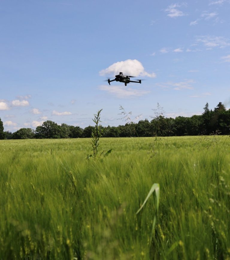 Drohne im Flug über einer grünen Wiese