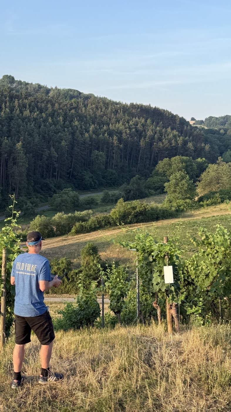 Weinbau mit Drohne